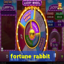 fortune rabbit - teste